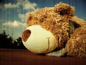 687dfd95e8ade5fb8b1197bcd0813eb6_web.jpg
